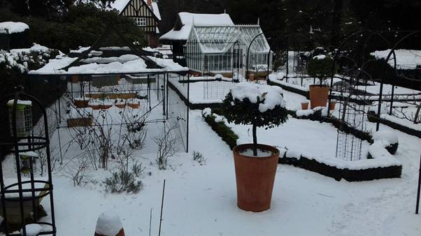 2026 Garden Planning Blog Snowy Kitchen Garden